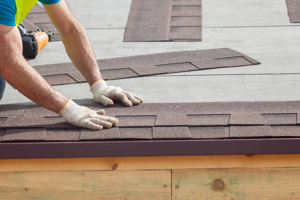 Best Roof Leak Repair  in Aurora, SD